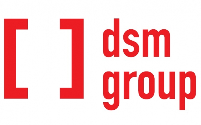 Dsm Group